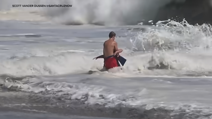 Ocean rescue